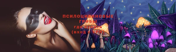 прущая мука Абаза