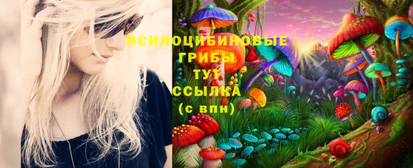 a pvp Абдулино