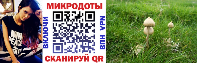 Галлюциногенные грибы ЛСД как найти закладки Зеленогорск